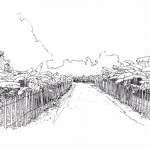 Illustrations jardins nantais - Parc du grand Blottereau - Bananeraie